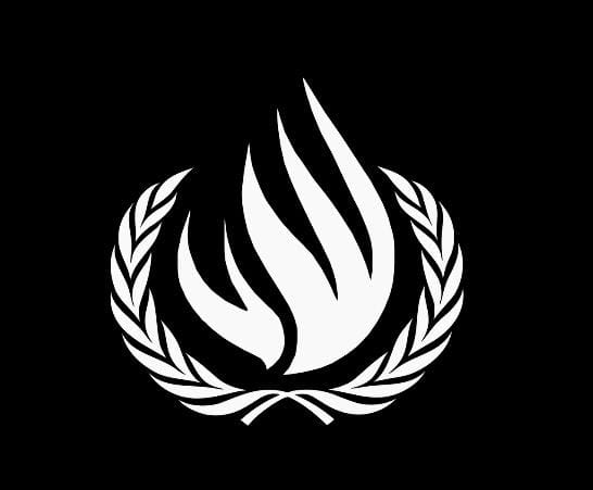 United Nations Human Rights Council